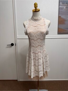High Neck Lace Fit & Flare Mini Dress in Blush